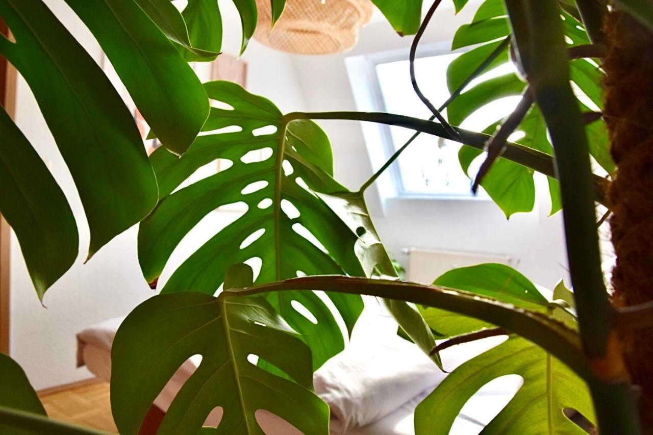Greenbnbs: Cozy Urban Jungle In The City Centre 에센 외부 사진
