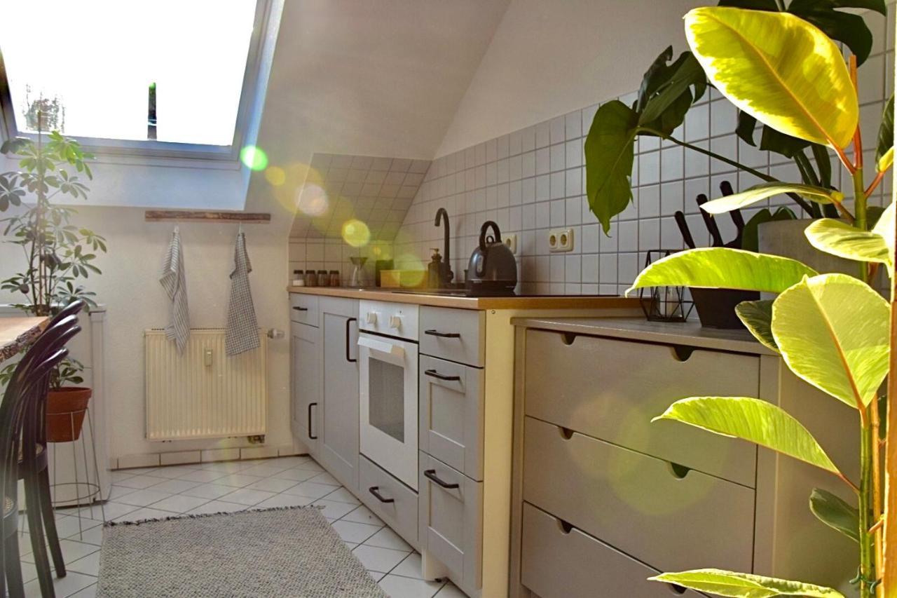 Greenbnbs: Cozy Urban Jungle In The City Centre 에센 외부 사진