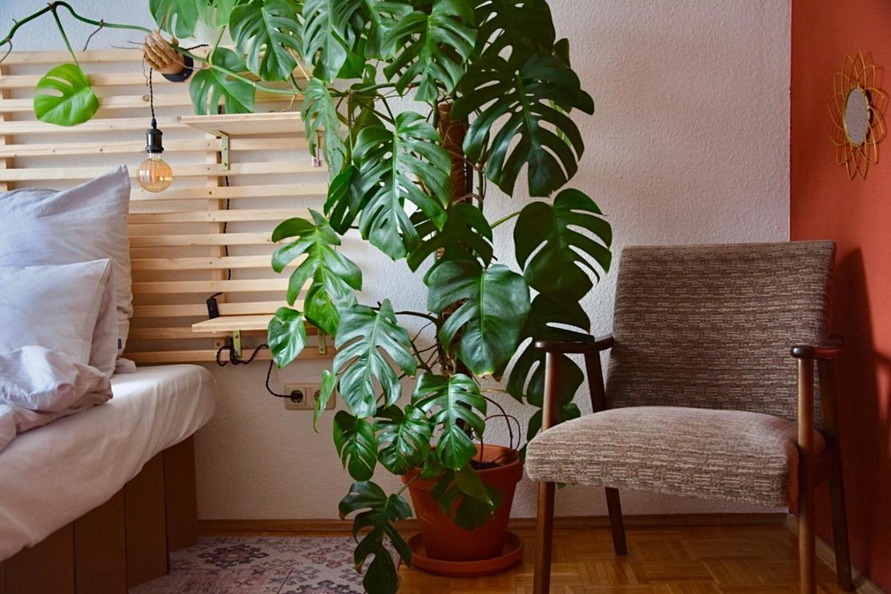 Greenbnbs: Cozy Urban Jungle In The City Centre 에센 외부 사진