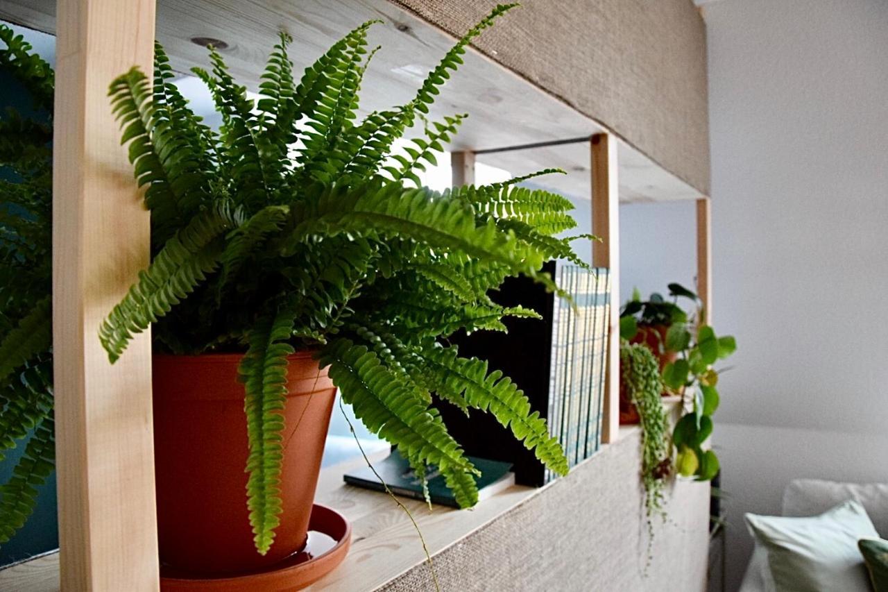 Greenbnbs: Cozy Urban Jungle In The City Centre 에센 외부 사진